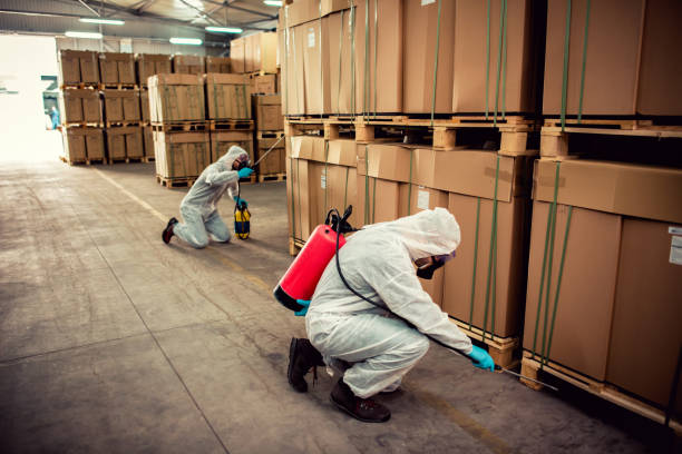 Best Mosquito Control Services  in Tega Cay, SC
