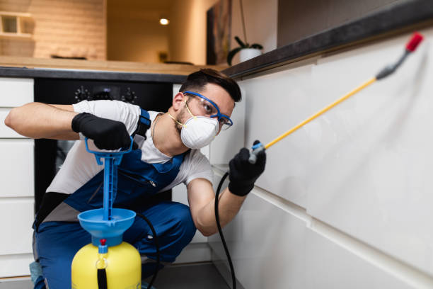 Best Pest Control Near Me in Tega Cay, SC