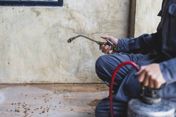 Best Affordable Pest Control Services  in Tega Cay, SC